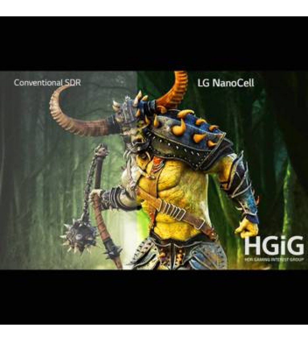 LG Nanocell 190 cm (75 inch) Ultra HD (4K) LED Smart TV  (75NANO91TNA)