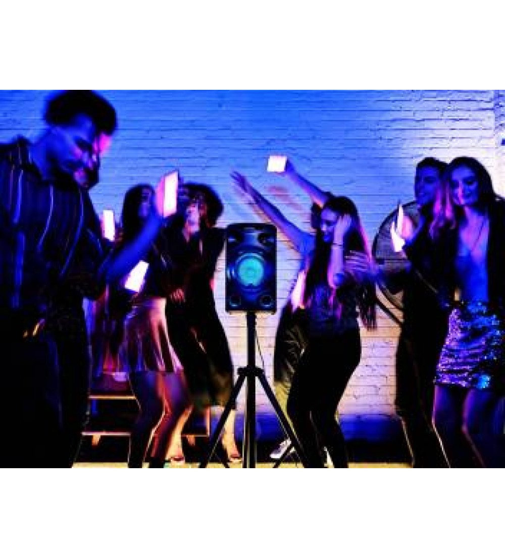Sony MHC-V02 with LED Light & Karaoke Bluetooth Party Speaker  (Black, 2.0 Channel)